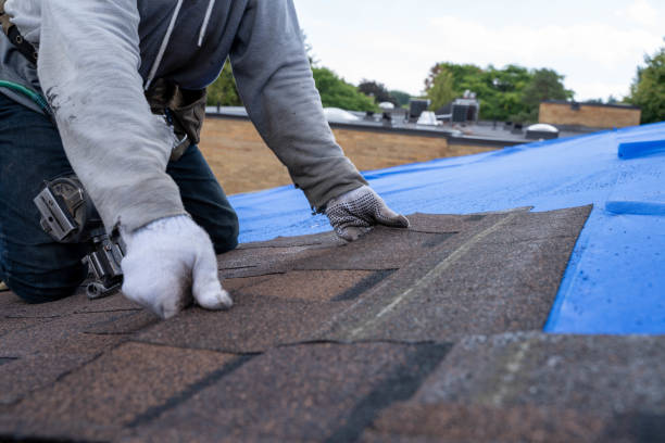 Best Metal Roofing Contractor  in Fredericksburg, IA