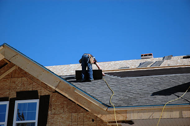 Best Roof Gutter Cleaning  in Fredericksburg, IA