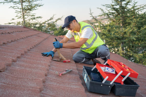 Best Residential Roofing Contractor  in Fredericksburg, IA
